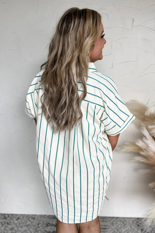 Green Stripe Buttoned Down Shirt Dress