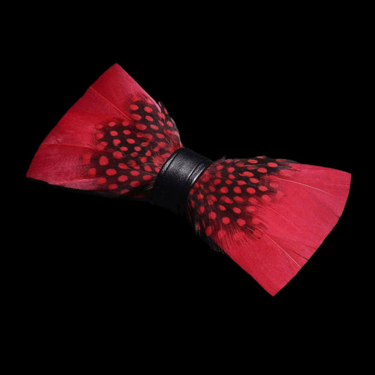 Handmade Red Polka Dot Feather Bow Tie