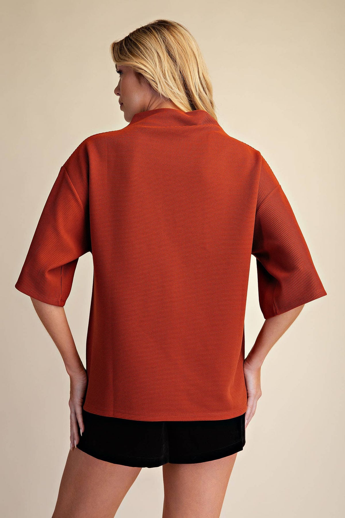Spiced Mock Turtleneck Pullover Top