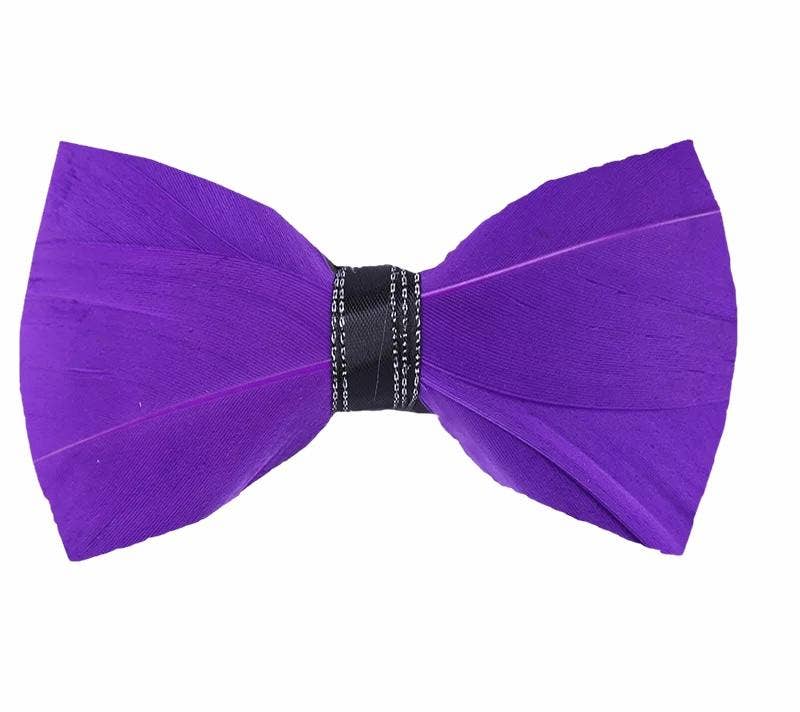 Handmade Purple Feather Bow Tie
