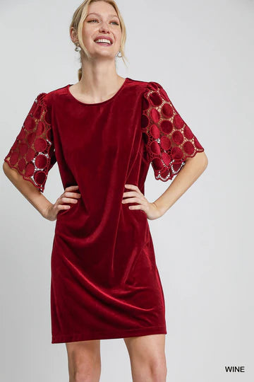 Elegant Red Wine Velvet Dress