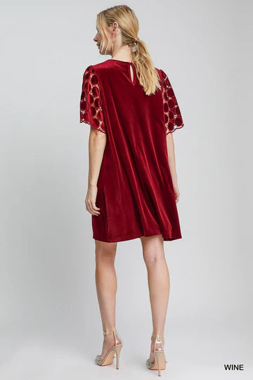 Elegant Red Wine Velvet Dress