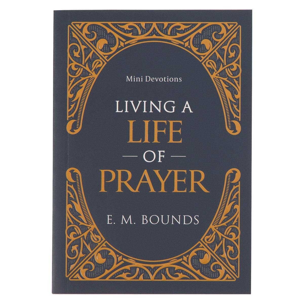 Mini Devotions Living a Life of Prayer